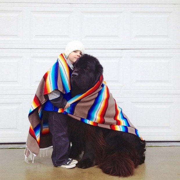 8711-R3L8T8D-650-Genuine-Love-Between-a-Little-Boy-and-His-Big-Dog-7