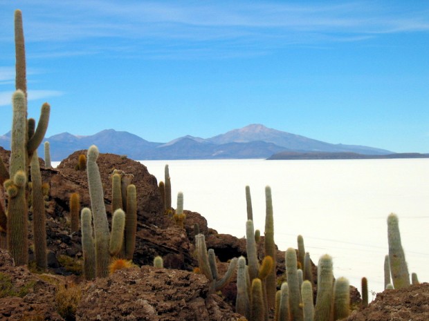 Isla-Pescado-Bolivia