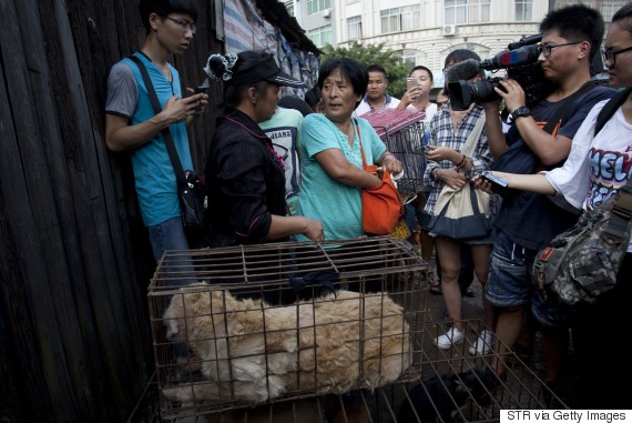 This picture taken on June 20, 2015 shows animal-loving Yang Xiaoyun (C) going around buying some 100 dogs at a market in Yulin, in southern China's Guangxi province. Yang has paid more than 1,000 USD to prevent around 100 canines from being eaten ahead of a dog meat festival which has provoked outrage worldwide. CHINA OUT AFP PHOTO (Photo credit should read STR/AFP/Getty Images)
