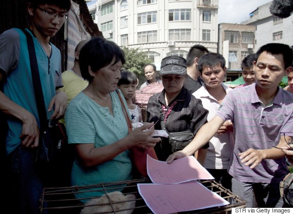 This picture taken on June 20, 2015 shows animal-loving Yang Xiaoyun (2nd-L) going around buying some 100 dogs at a market in Yulin, in southern China's Guangxi province. Yang has paid more than 1,000 USD to prevent around 100 canines from being eaten ahead of a dog meat festival which has provoked outrage worldwide. CHINA OUT AFP PHOTO (Photo credit should read STR/AFP/Getty Images)