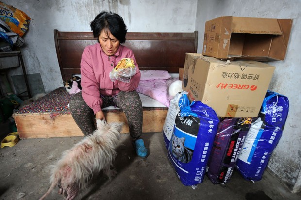 rescued-dogs-yulin-dog-meat-festival-china-13