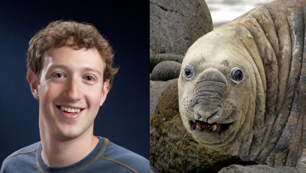 celebrities-that-look-like-animals-mark-zuckerberg