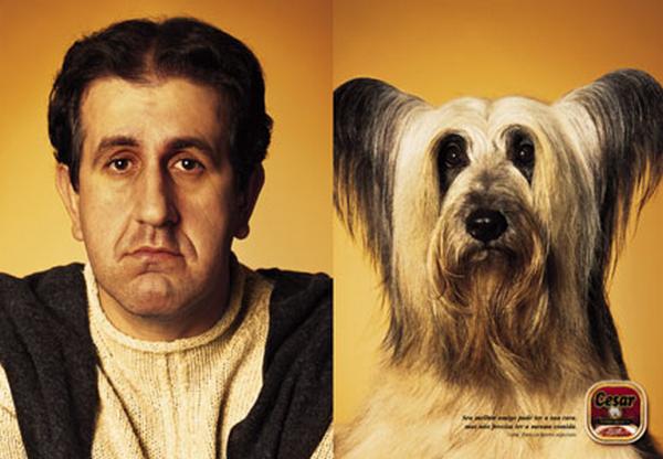 petlookalike4