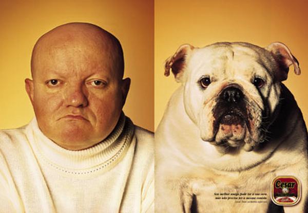 petlookalike6